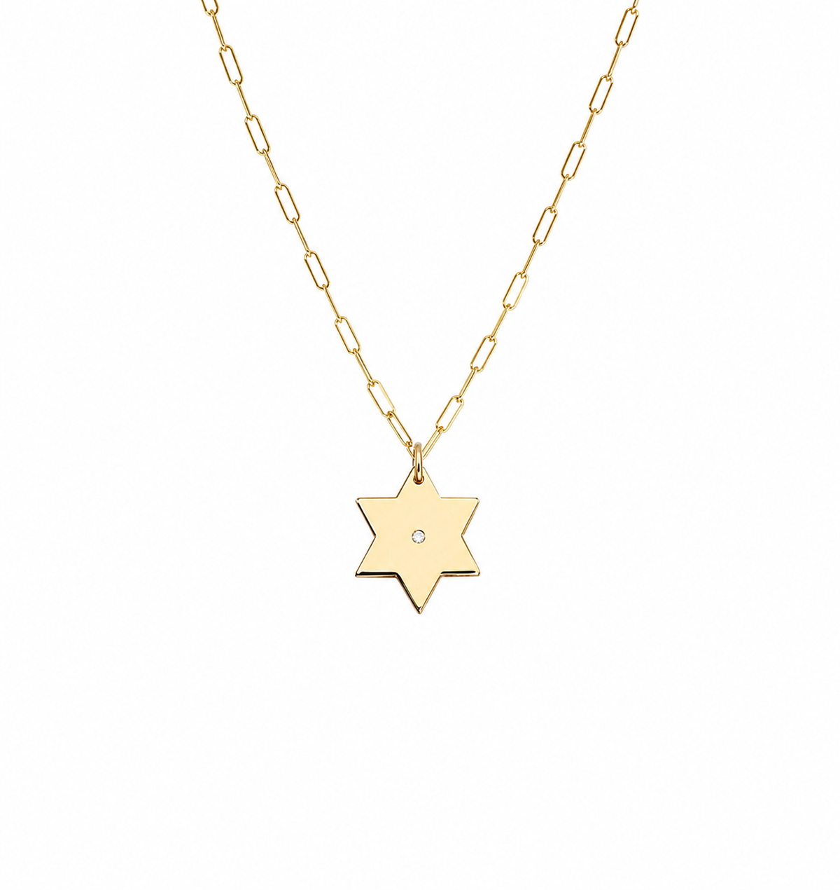 Liz Star of David Paperclip Necklace