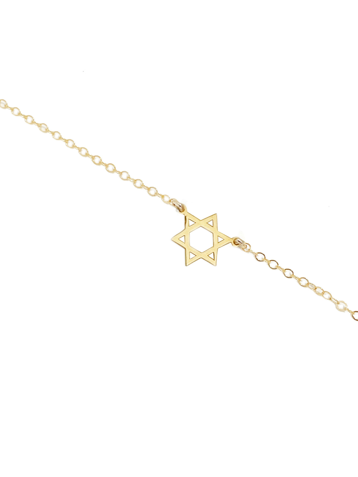 Delicate charm necklace jewelry detail
